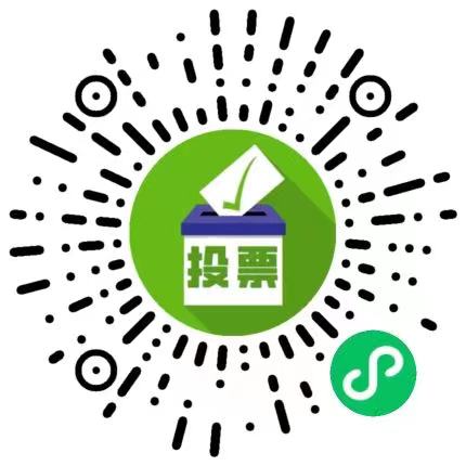 專業(yè)投票助手