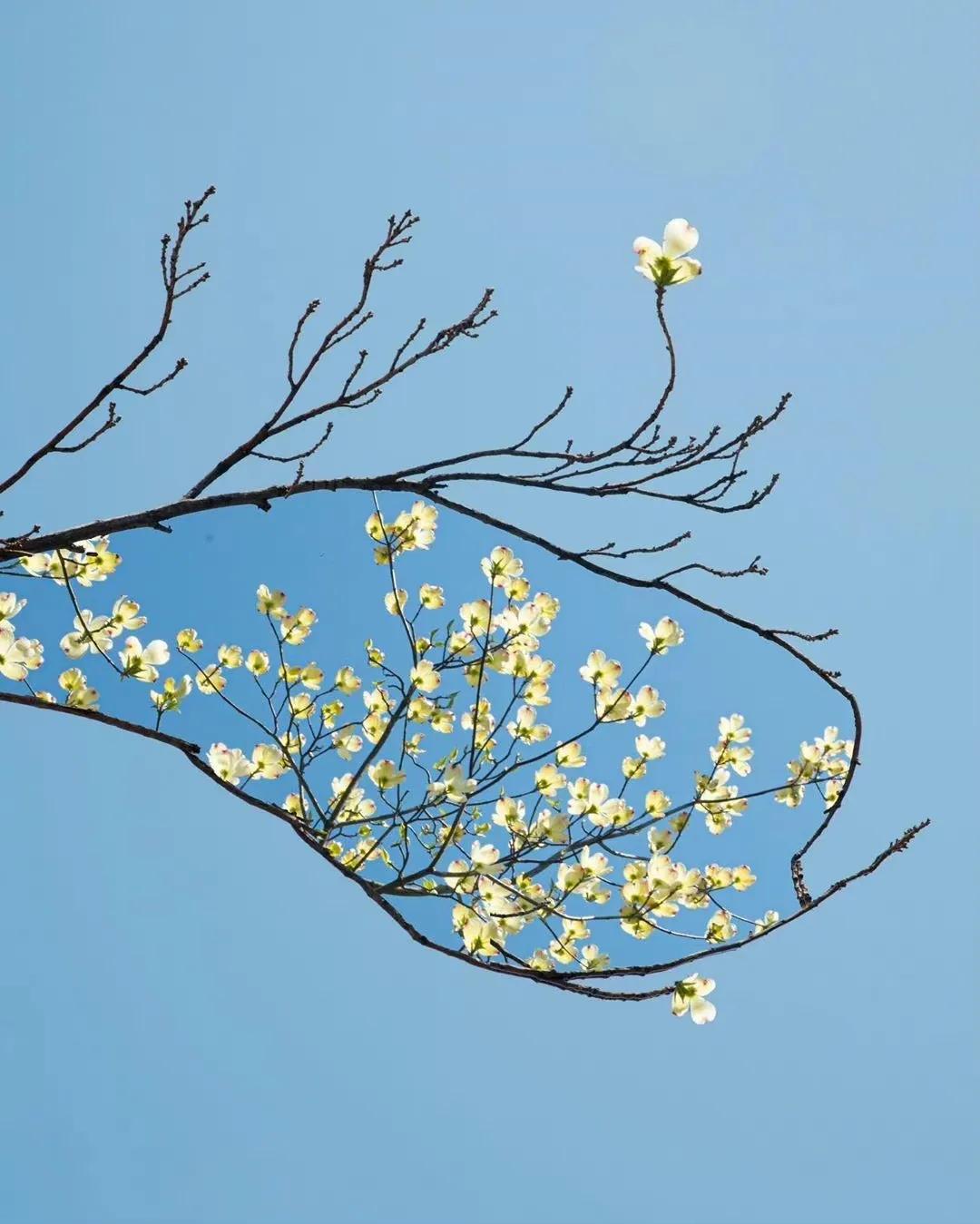 抖音文案怎樣寫才吸粉(抖音吸粉技巧)