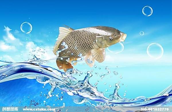 seo是靠什么優化的(SEO優化思路)